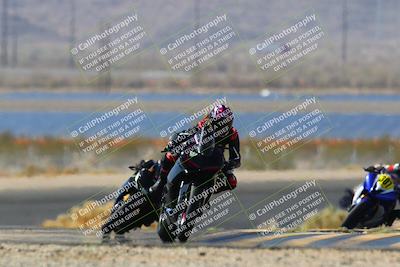 media/Apr-10-2022-SoCal Trackdays (Sun) [[f104b12566]]/Turn 14 (10am)/